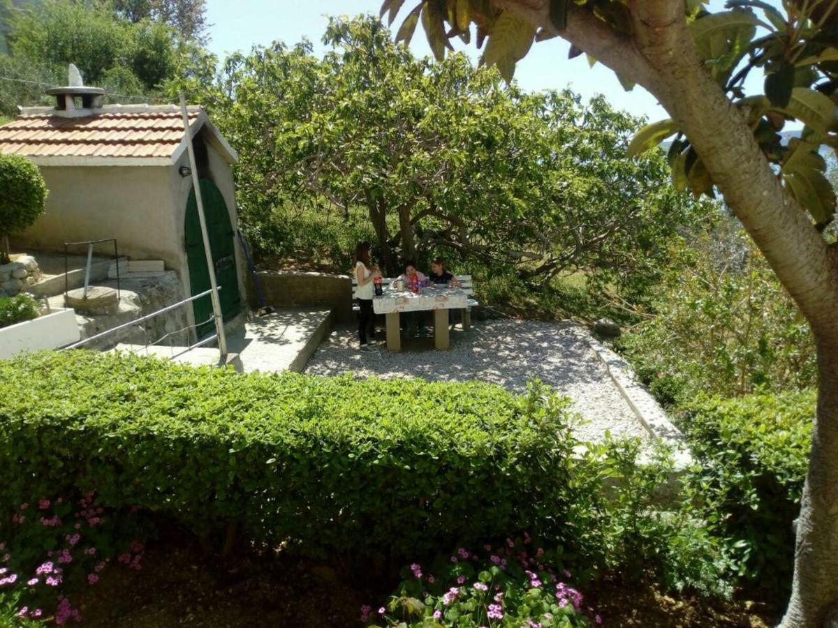 Apartman Leo بريلا المظهر الخارجي الصورة